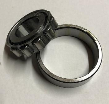 A1478: Merlin Tail Shaft Roller Bearing